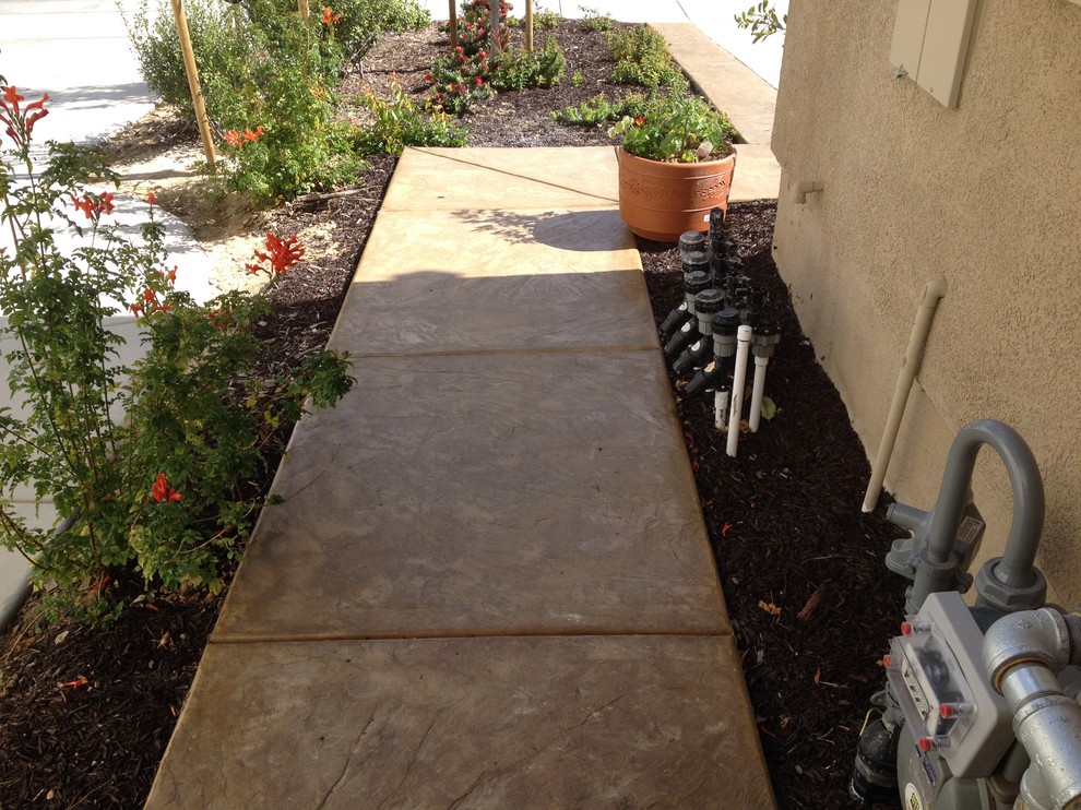 This is an example of a small contemporary front yard full sun garden in San Diego.