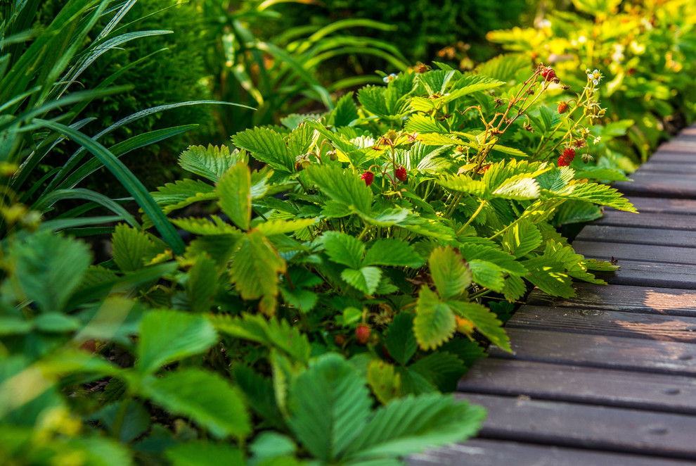 Сад в Марокканском стиле
