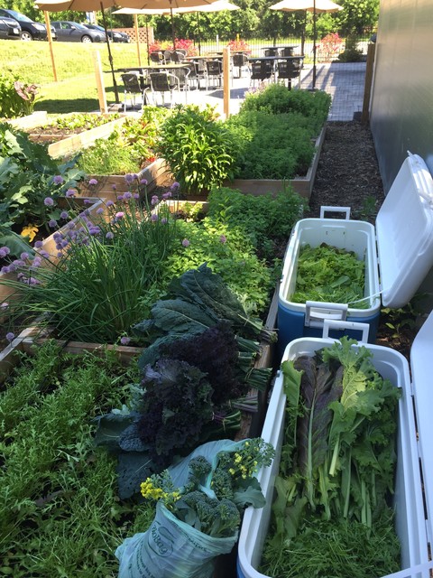 Recent Work country-giardino