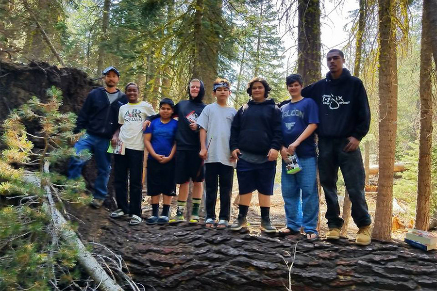 MSO Tree Photo