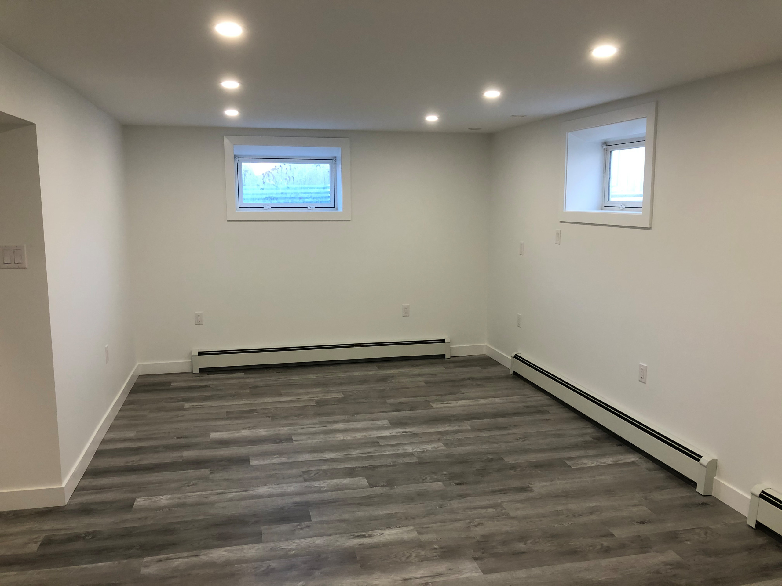 Basement Renovation