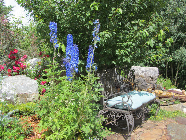 Outdoor Oasis Landscape Design