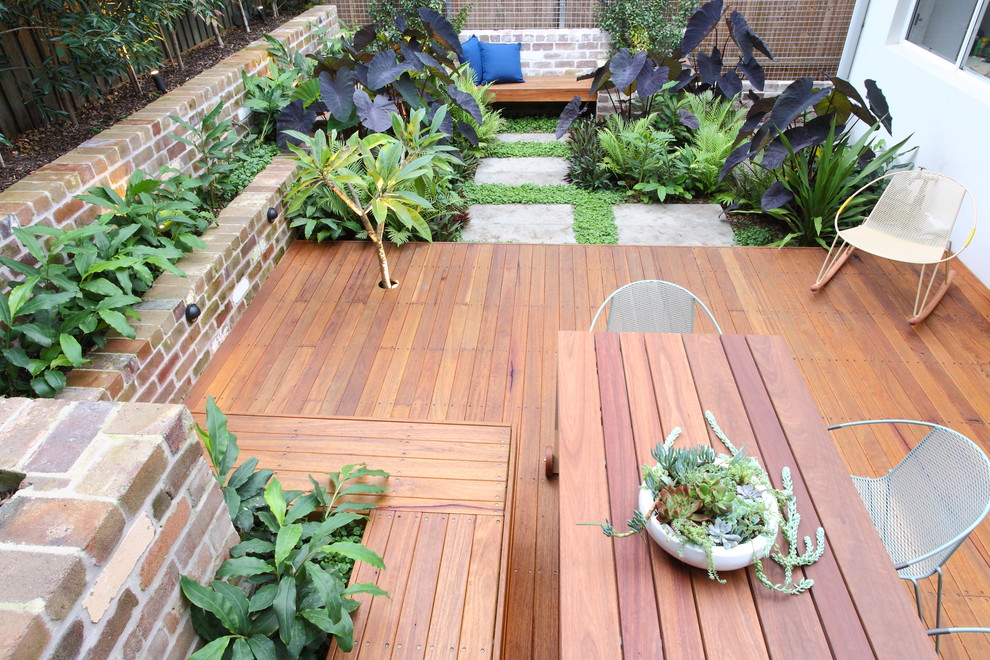 Small tropical courtyard full sun formal garden in Sydney with a retaining wall and decking for summer.
