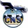 CNS Construction, Inc.
