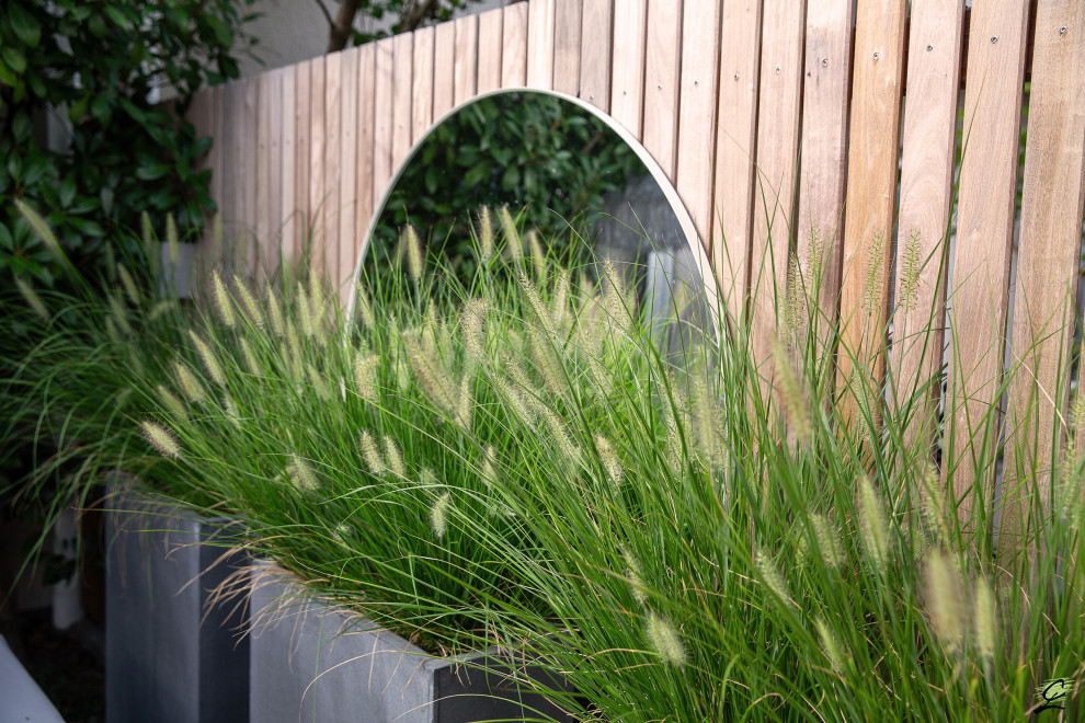 Kleiner, Halbschattiger Mediterraner Garten im Sommer mit Sichtschutz und Holzzaun in Frankfurt am Main
