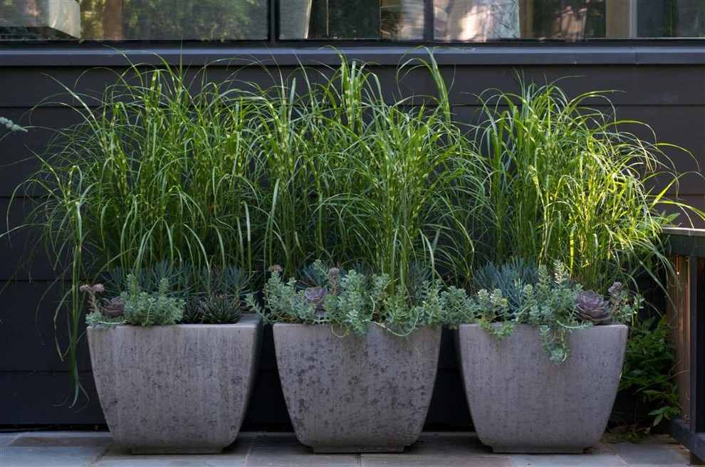 Kreative Gartengestaltung mit Pflanzkübeln und Topfpflanzen