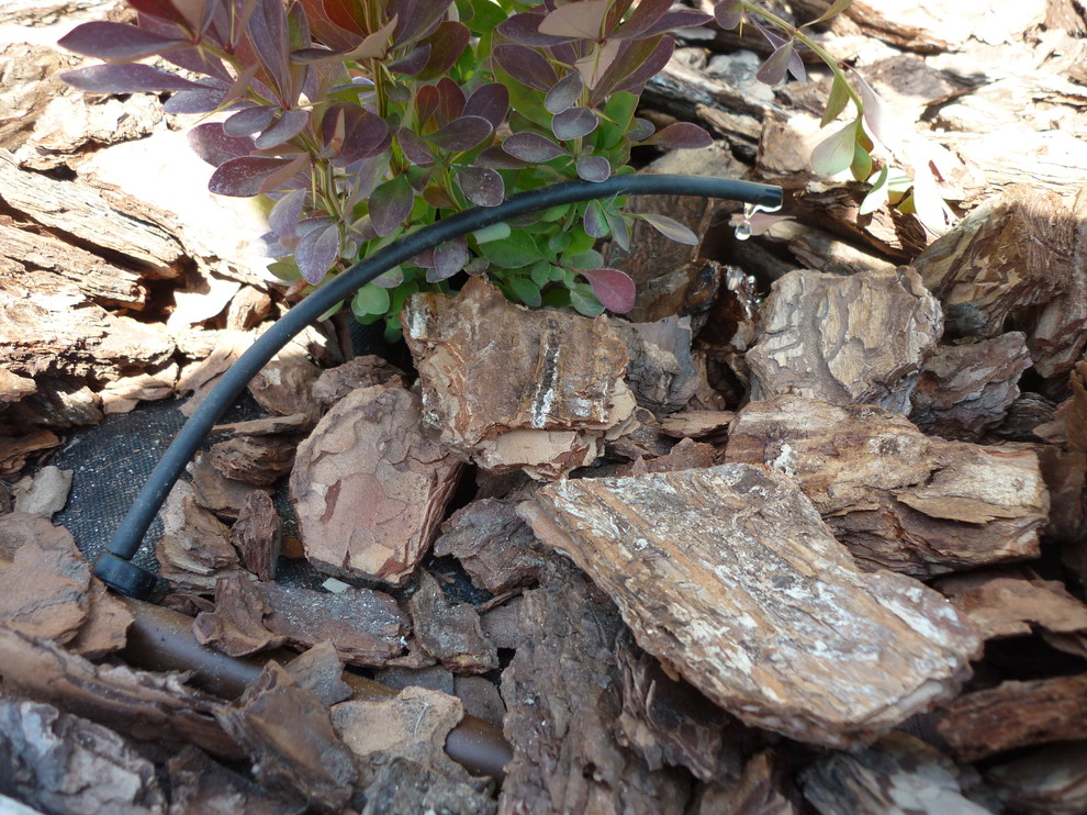 Системы полива