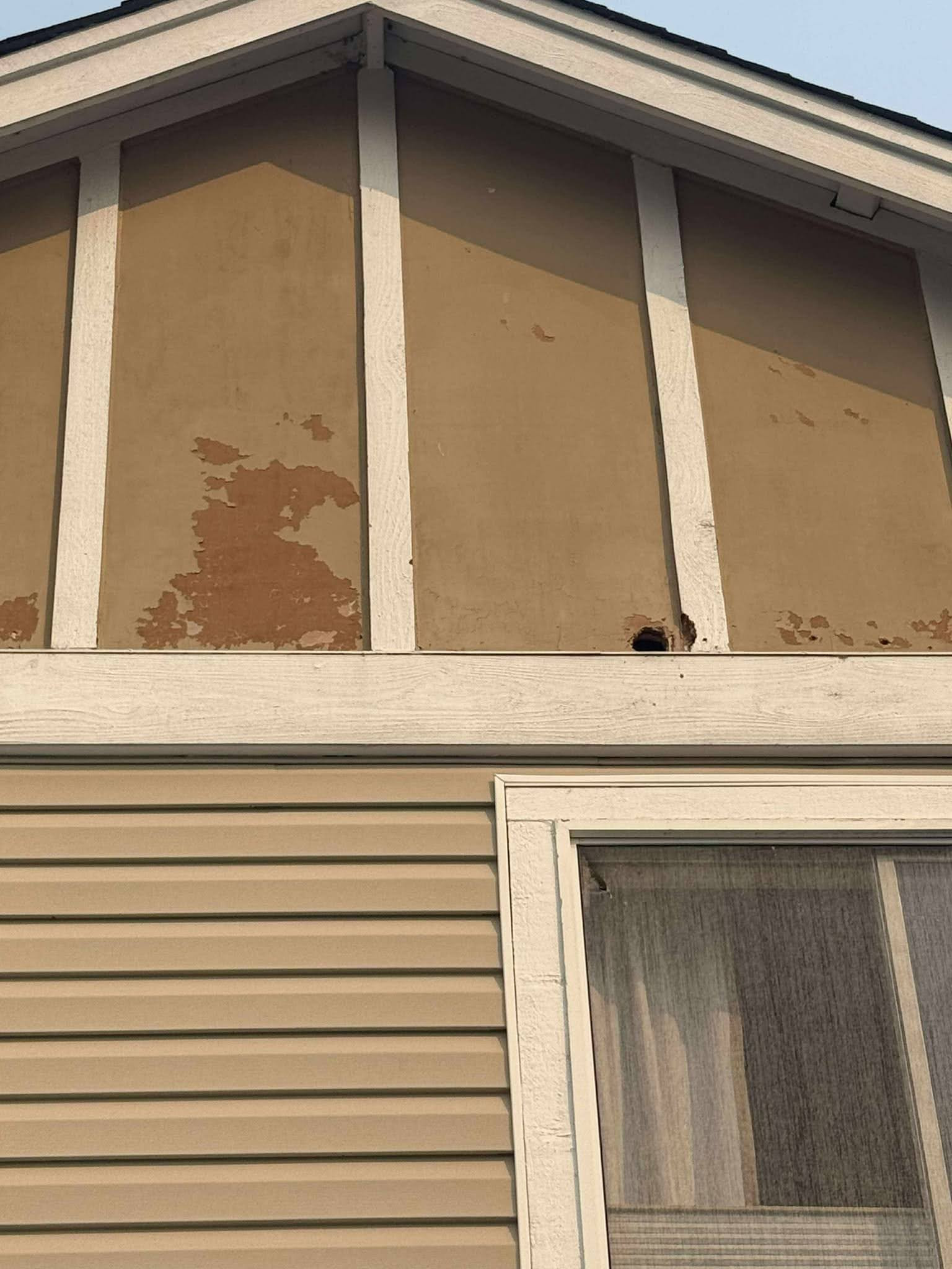 Exterior Wood Repairs & Repaint
