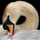 debragrateful_crawford