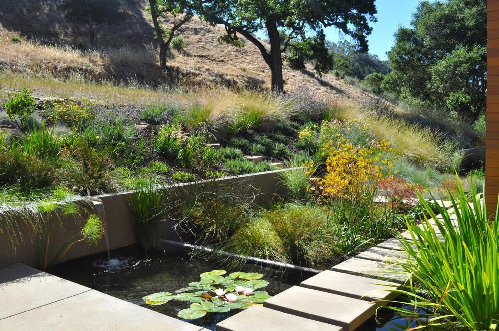 Inspiration for a modern garden in San Francisco with a retaining wall.