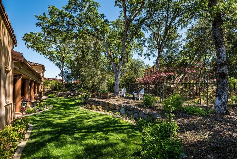 Photo of a mediterranean garden in Sacramento.
