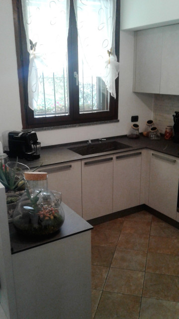 Daniela modern-kitchen