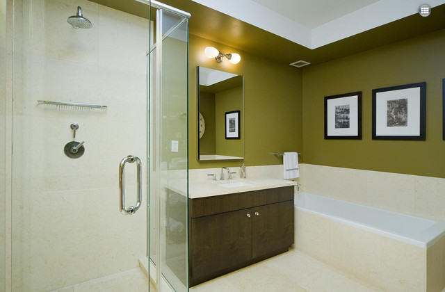 Master bath contemporary-bathroom