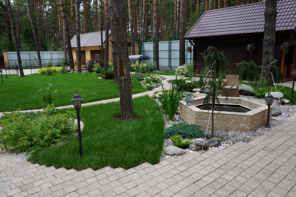 Умиротворение в сосновом лесу