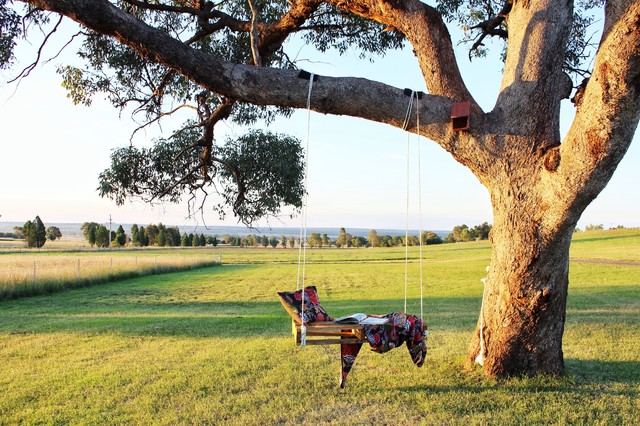 A tree swing