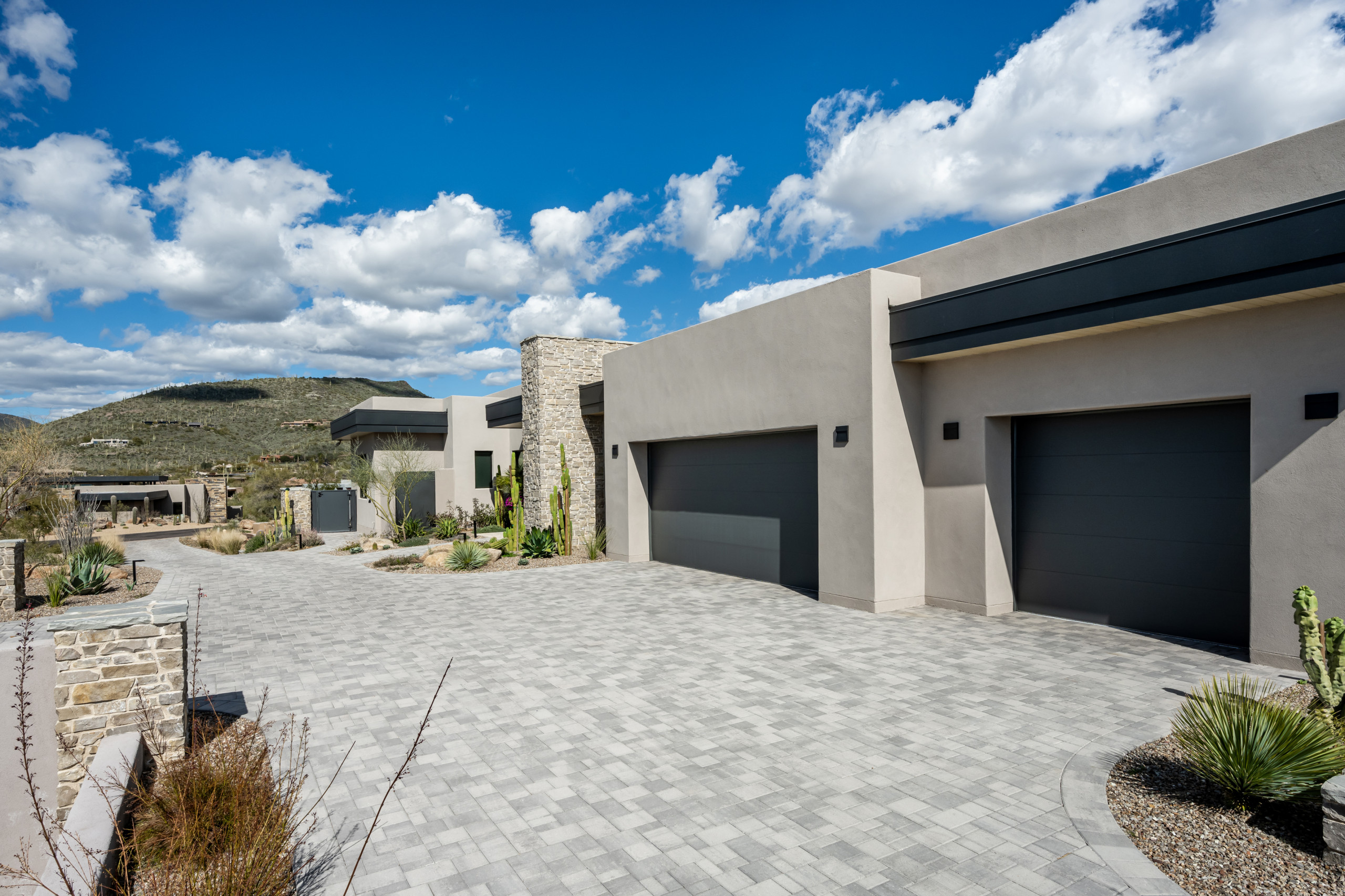 Gambel Quail 103