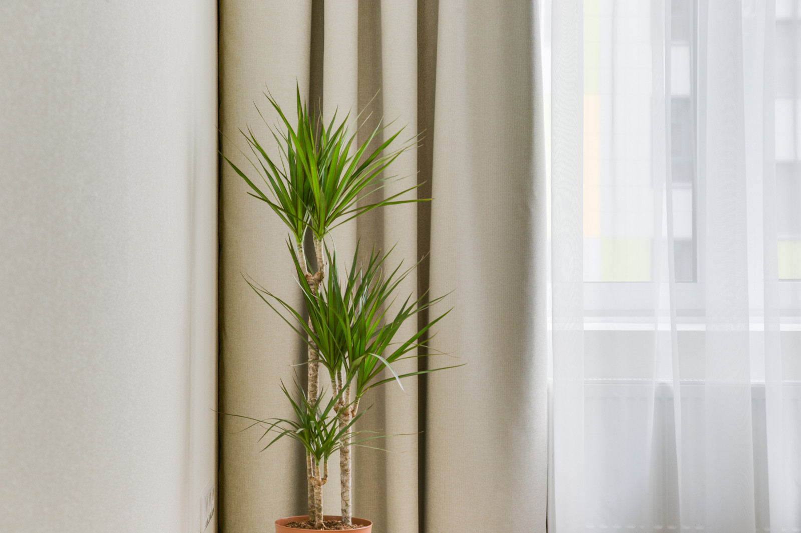 Квартира в ЖК ФИЛИГРАД