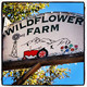 Colorado Alpines & Wildflower Farm