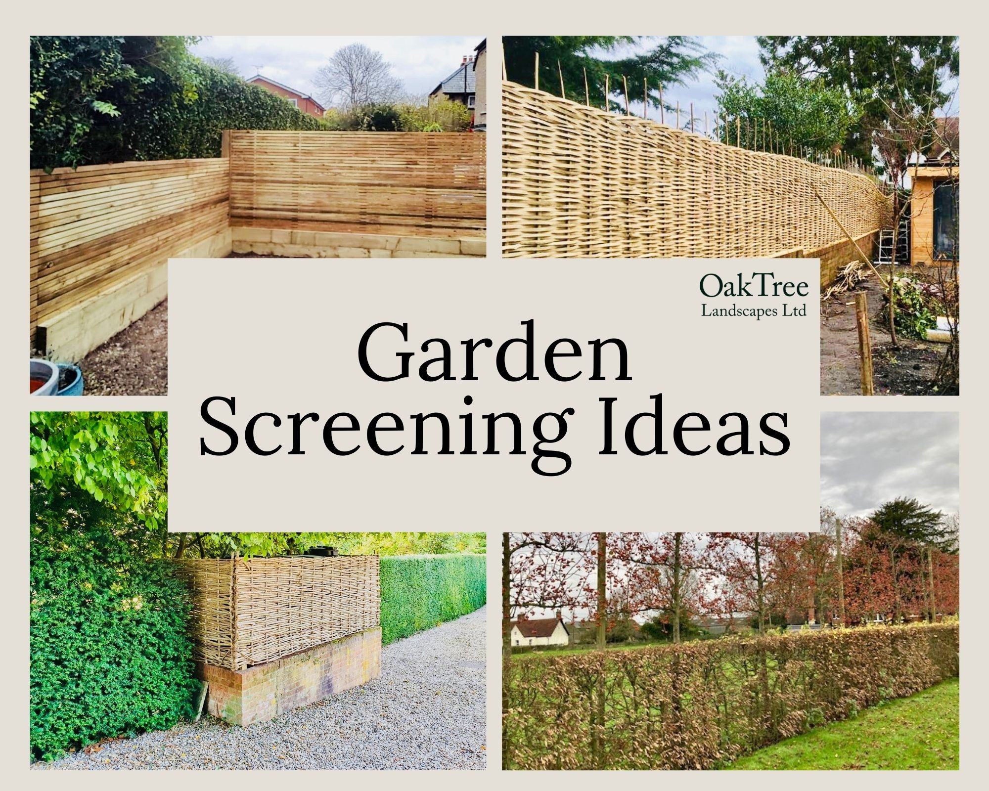 Garden Screening Ideas