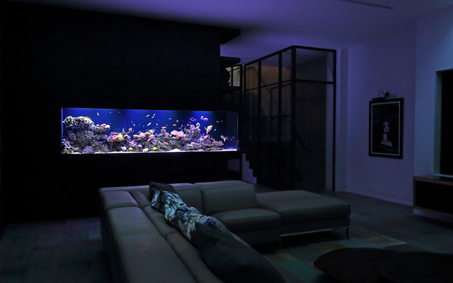 Industrial Chic - Modern Aquarium moderne-hjemmebiograf