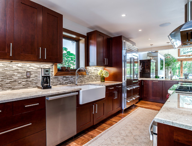 Speros Remodel contemporary-kitchen