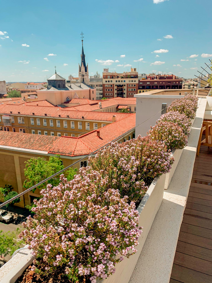 Mittelgroße Nordische Dachterrasse im Dach mit Kübelpflanzen, Markisen und Stahlgeländer in Madrid