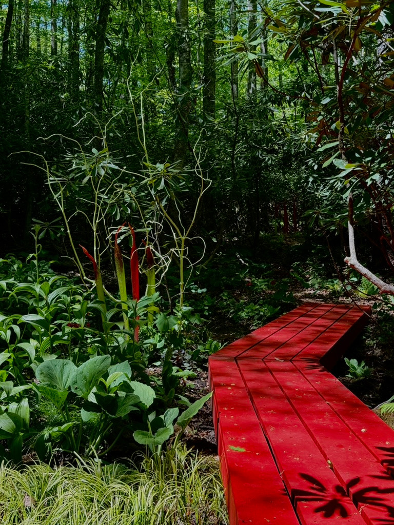 Crafting A Mountain Garden Called Rhodwood