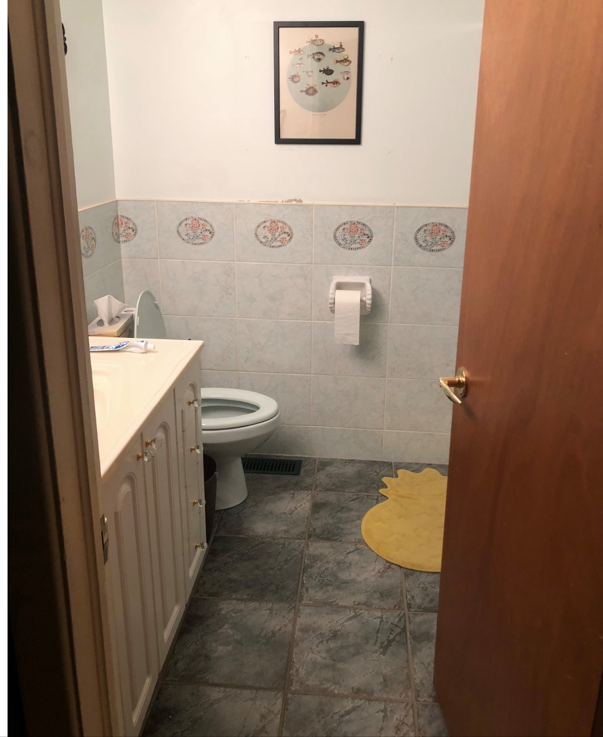Guest bathroom