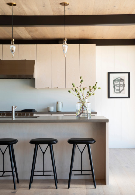 Modern Beach House modern-kitchen