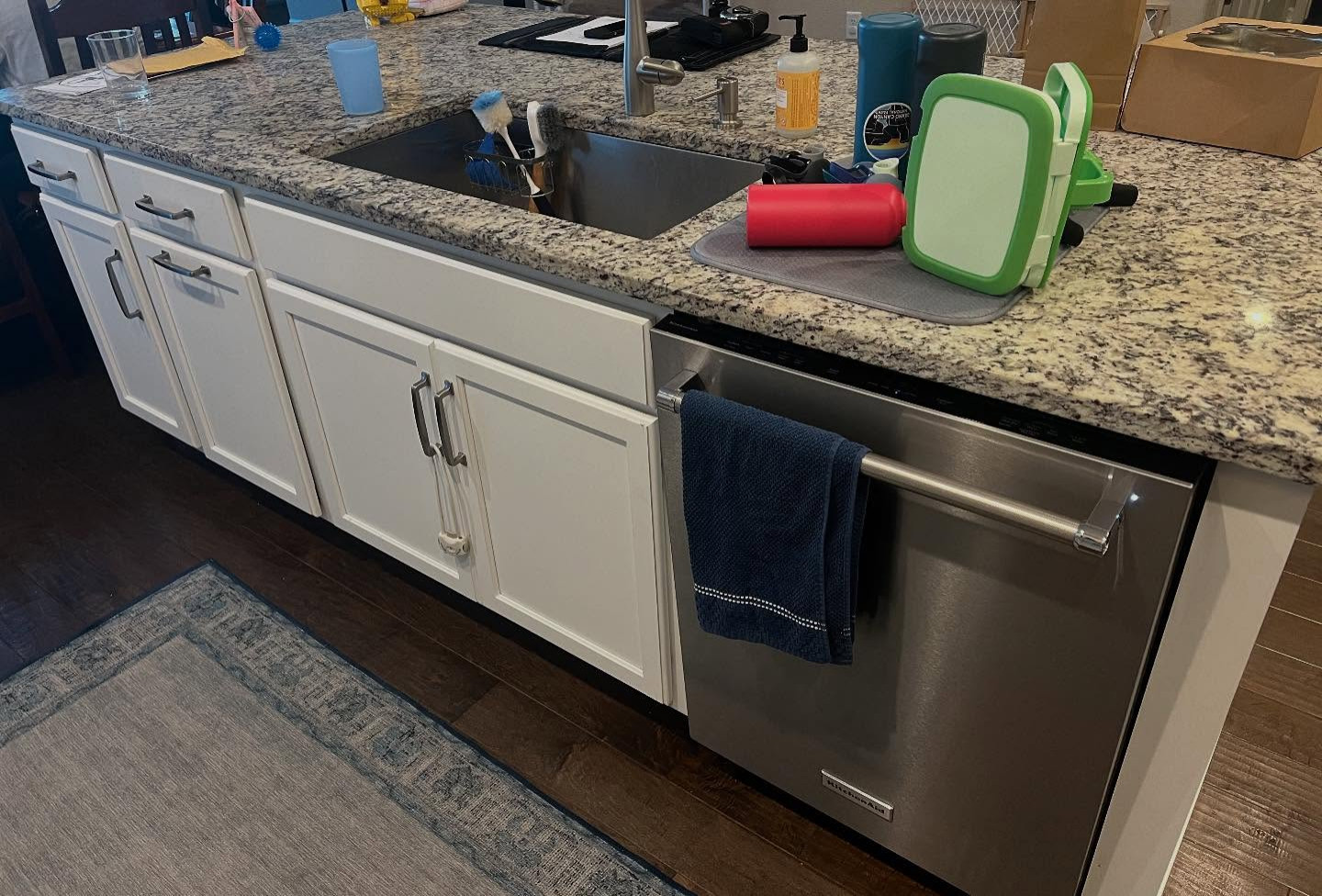 Family Hangout in Fort Collins