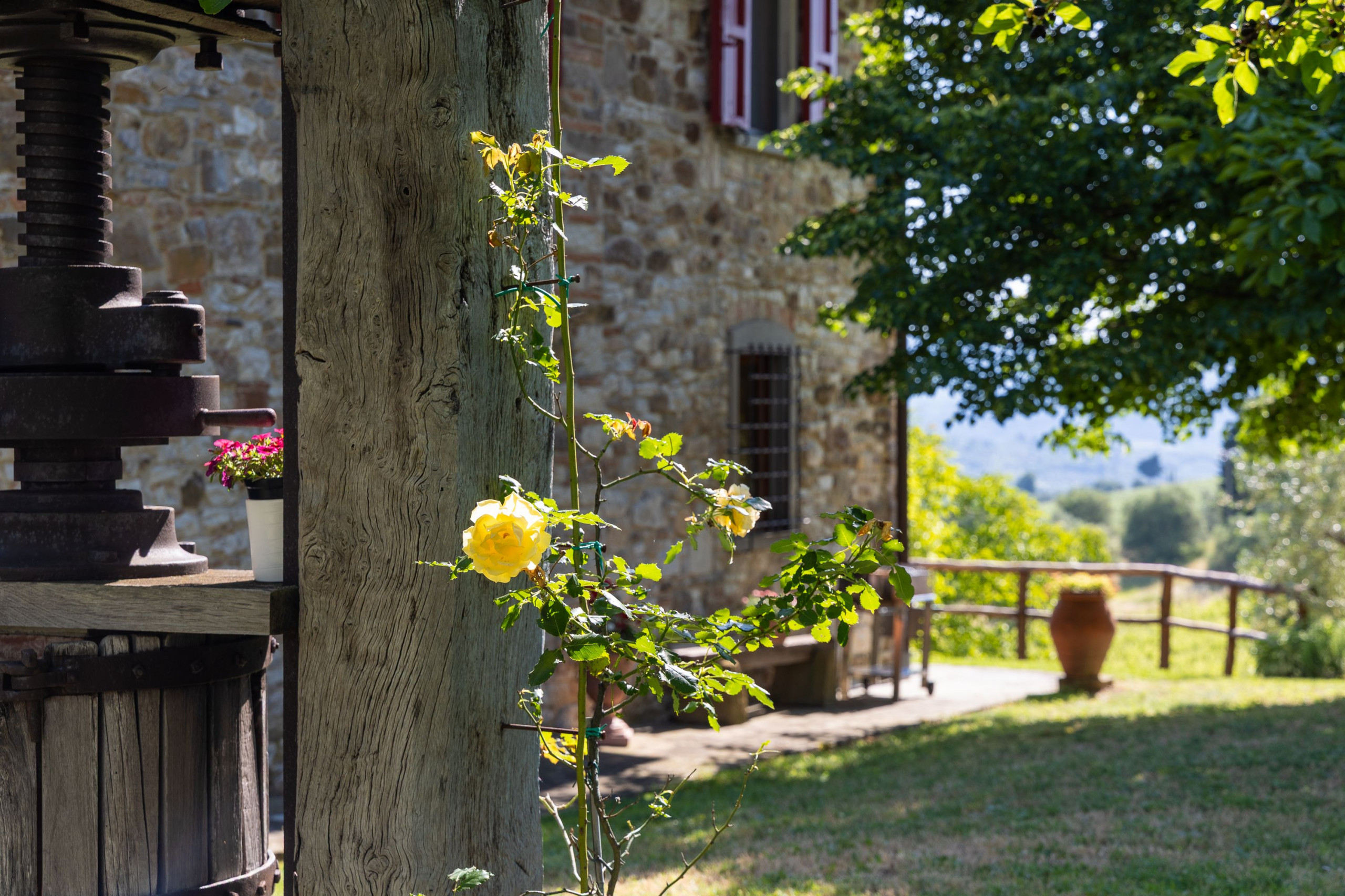 Casa Vacanza San  Guido