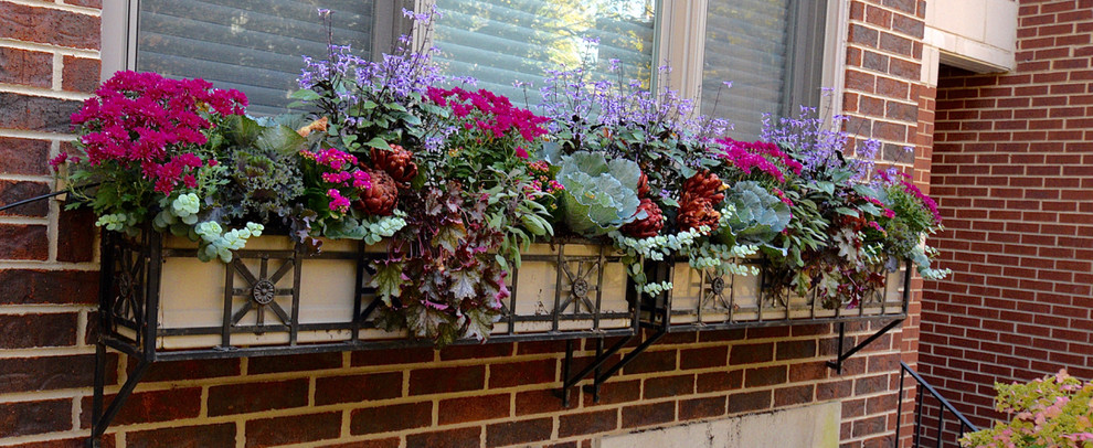 This is an example of a mid-sized traditional backyard full sun garden for fall in Chicago with a container garden.