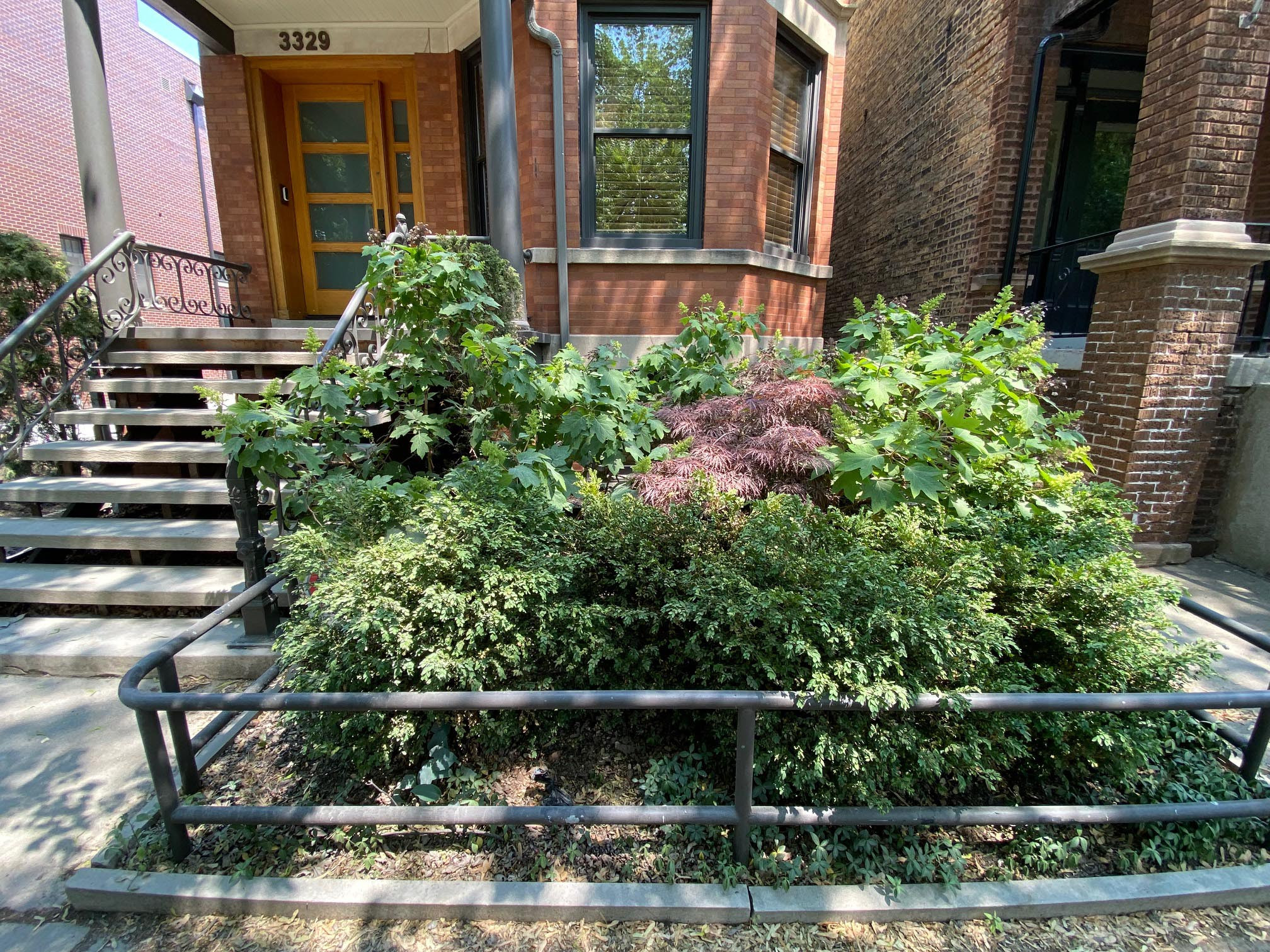 Fine Tuning an Established Garden