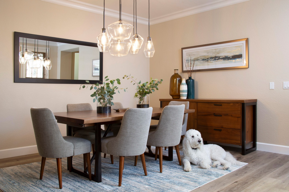 Photo of a transitional dining room in San Diego with vinyl floors.