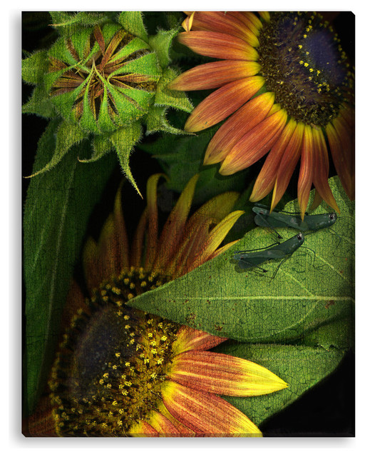 Peggy Weiss' 'Sunflowers' Canvas Gallery Wrap