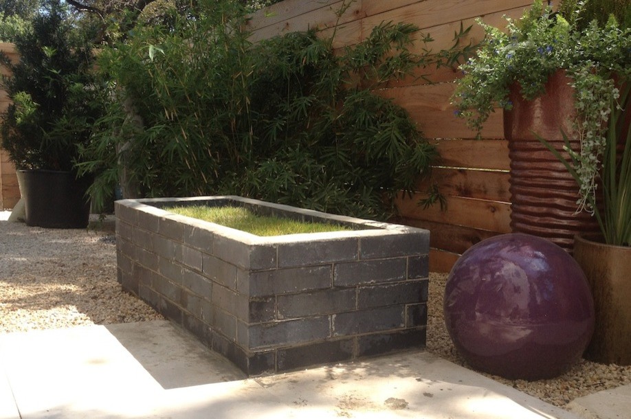 Design ideas for a small modern side yard garden in Austin with a container garden and natural stone pavers.