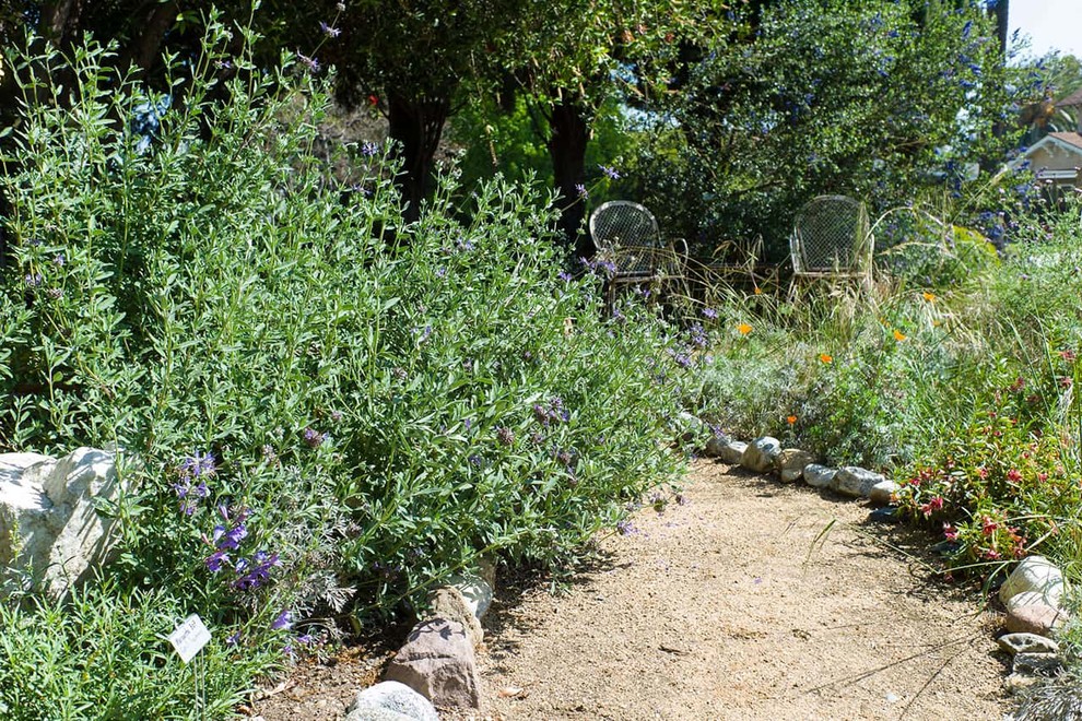 2018 Native Plant Garden Tour Landscape Los Angeles by Theodore