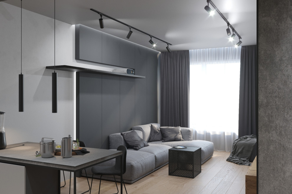 Однокомнатная монохромная квартира