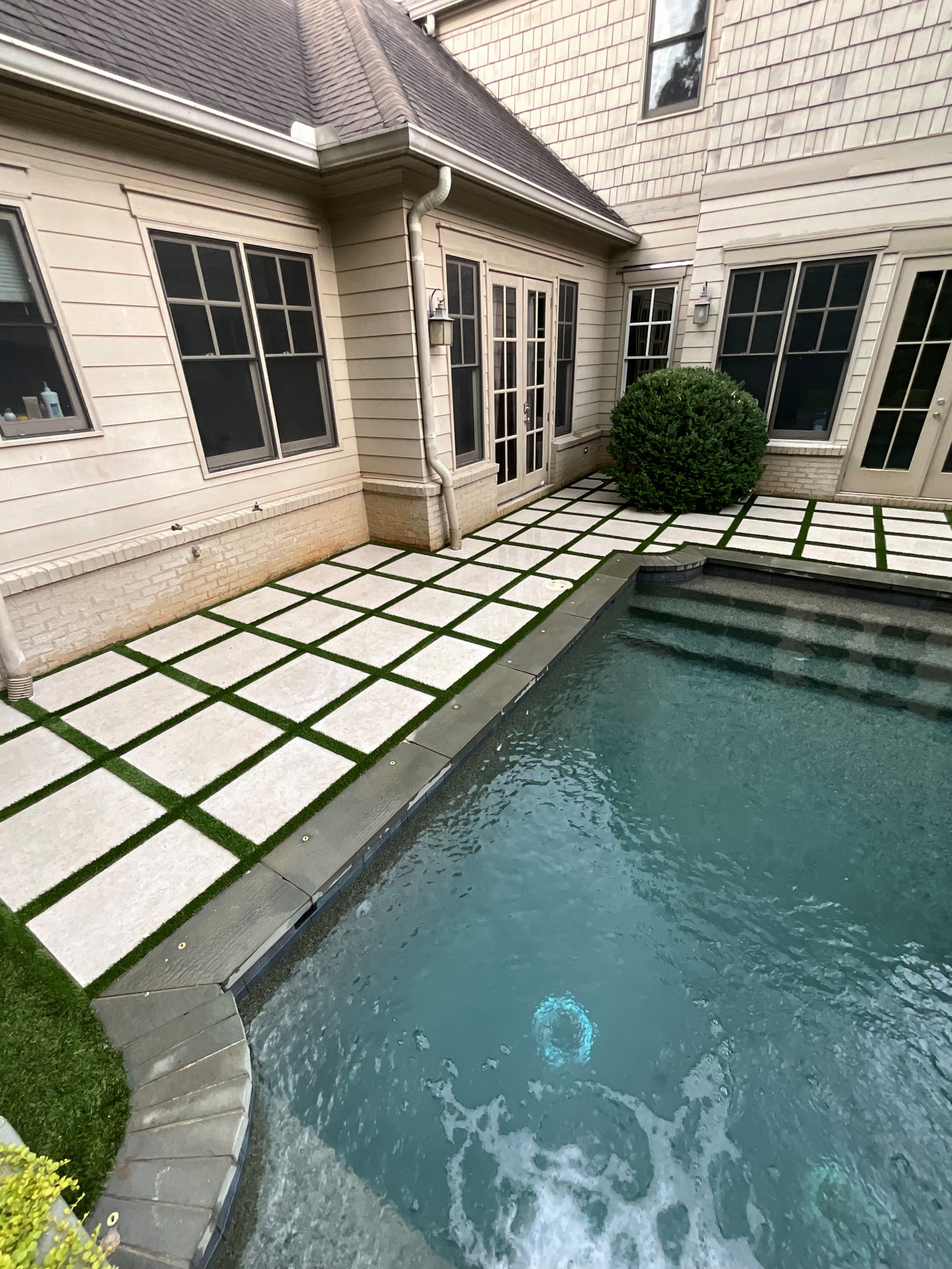 Back Yard Update