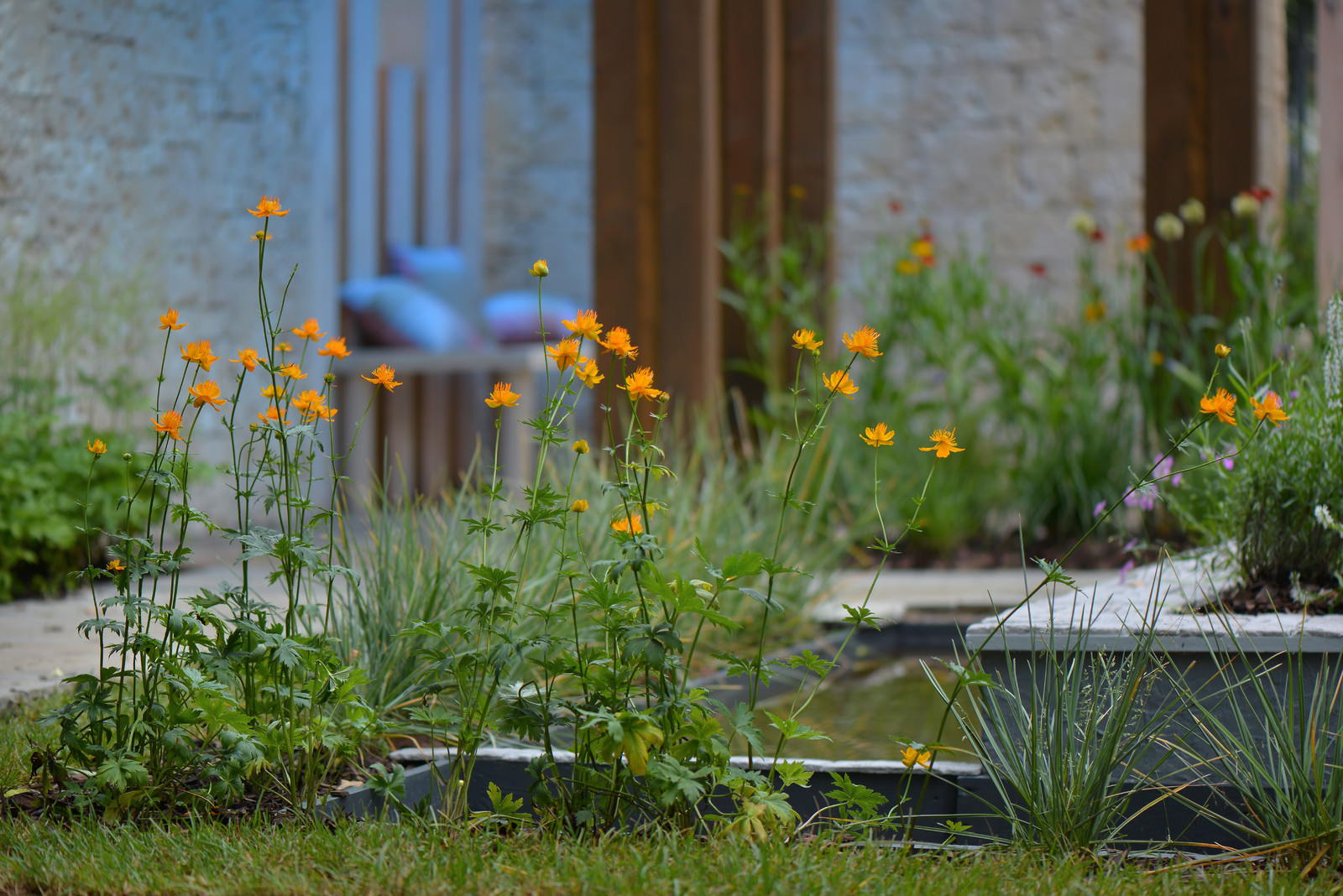 Золотая медаль и звание лучший сад международного конкурса "Moscow Flower Show"