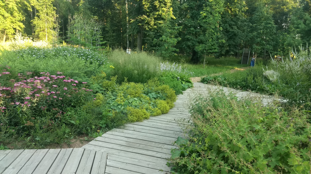 Медовая поляна