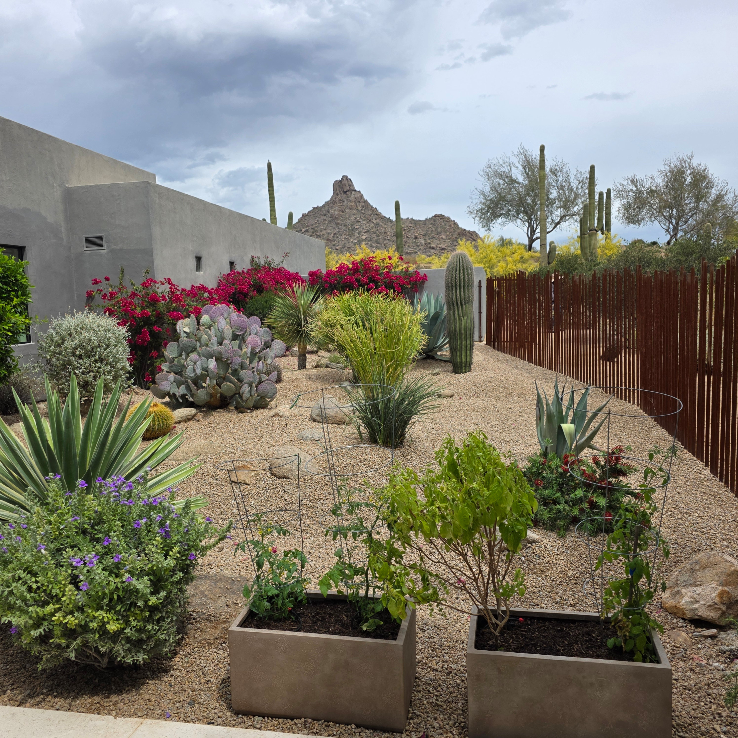 Desert Highlands IV