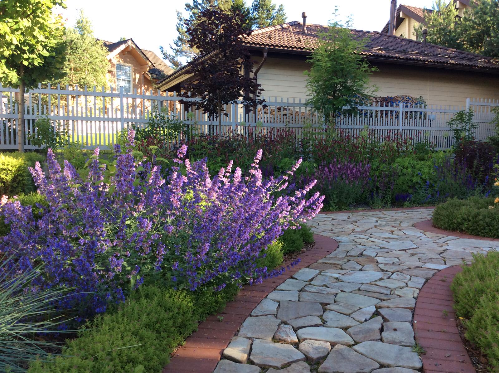 Полет Шмеля 2