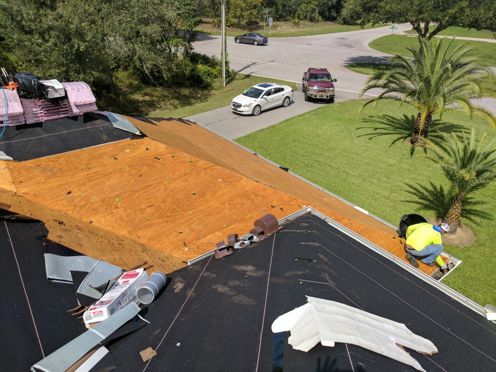 Shingle Roof
