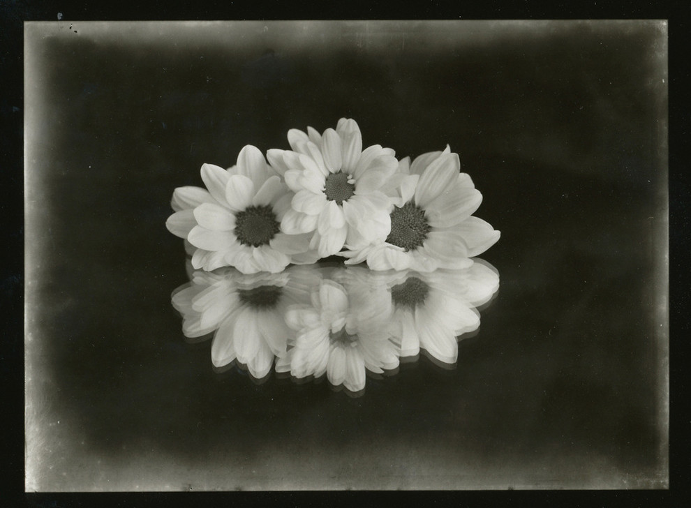 Авторские работы