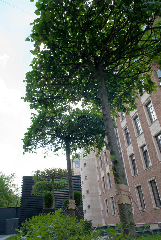 Геометрия в саду