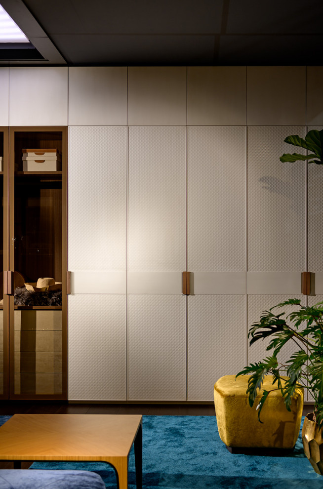 Cette photo montre une armoire encastrée moderne en bois clair de taille moyenne et neutre avec un placard à porte plane, parquet foncé, un sol marron et un plafond en bois.