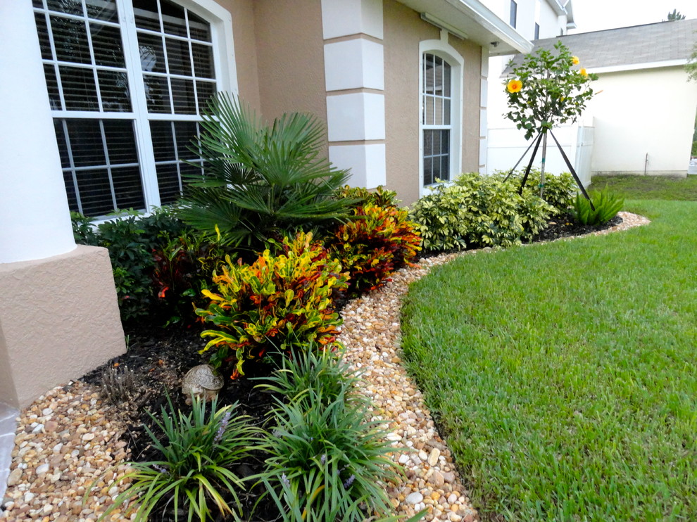 Tips to Take Care of Your Yard