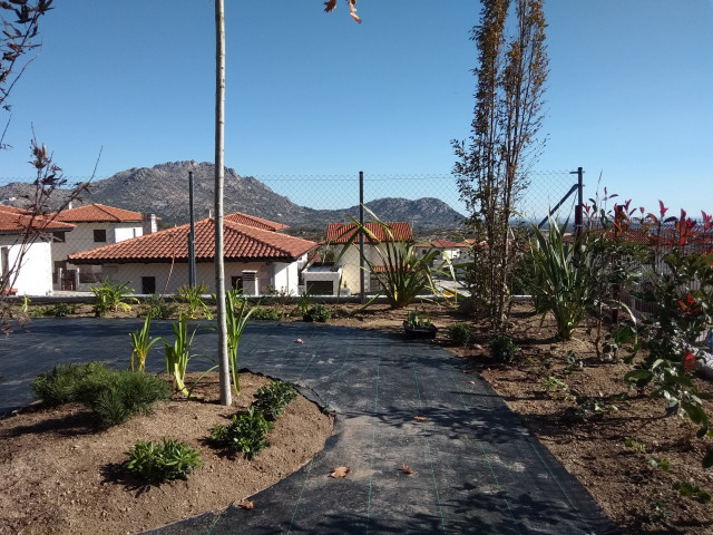 Jard&iacute;n con c&eacute;sped artificial modern-garten