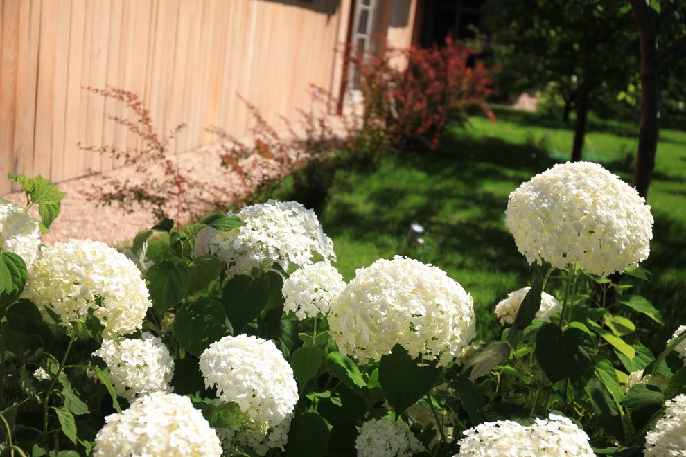 Николина гора, «д. Маслово», 35 соток